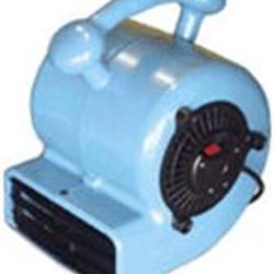 Turbo Dryer (Air Mover)